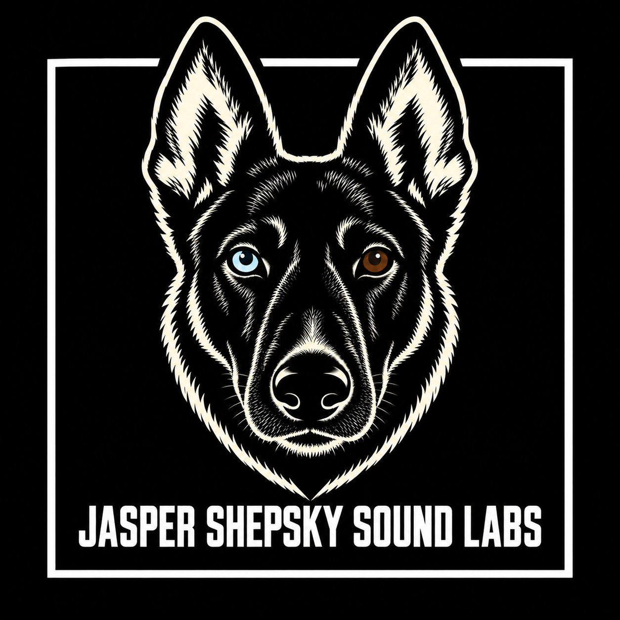 Jasper Shepsky Sound Labs