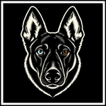 Jasper's square portrait logo, with one blue eye and one brown eye